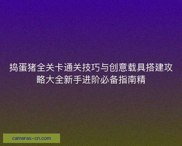 捣蛋猪全关卡通关技巧与创意载具搭建攻略大全新手进阶必备指南精