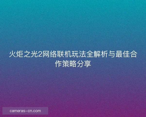 火炬之光2网络联机玩法全解析与最佳合作策略分享