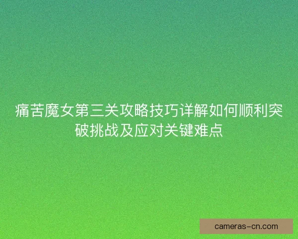 痛苦魔女第三关攻略技巧详解如何顺利突破挑战及应对关键难点