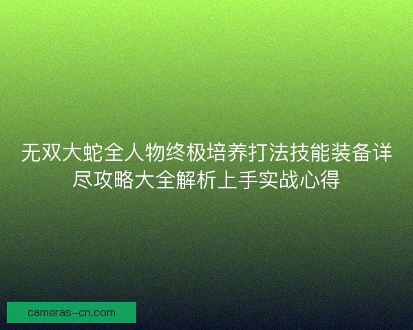 无双大蛇全人物终极培养打法技能装备详尽攻略大全解析上手实战心得